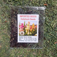 Imported Hollyhock Seeds