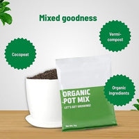 Organic Pot Mix 500gm