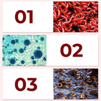 Fishing Attractant 200 ml Pack of 2