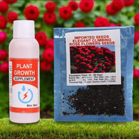 Elegant Climbing Rose Flower Seeds