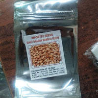 Bambusa gigantea Seed